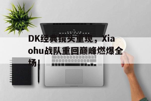 DK经典镜头重现,Xiaohu战队重回巅峰燃爆全场!-bet365线上投注